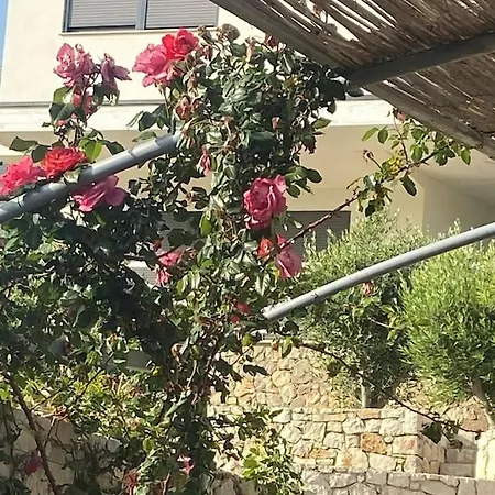 Holliday 200m From The At White Rocks, *