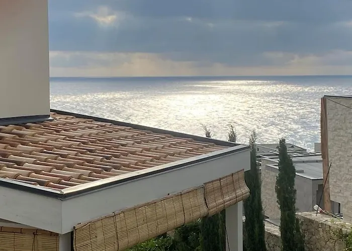 Holliday 200m From The At White Rocks,