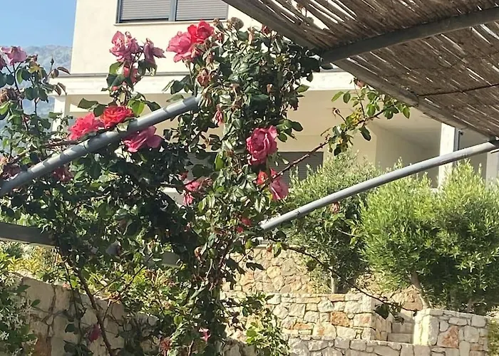 Holliday 200m From The At White Rocks, *